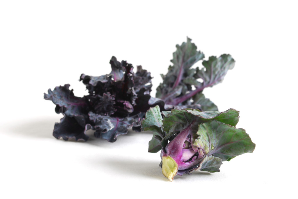 Kale-Sprouts-v1-1024x6851